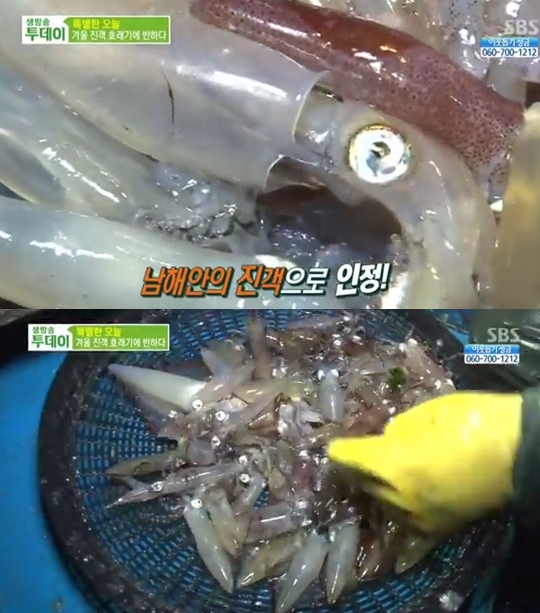 호래기라면, 순대 등 제철 맞아 '호래기 인기' 가격도 저렴