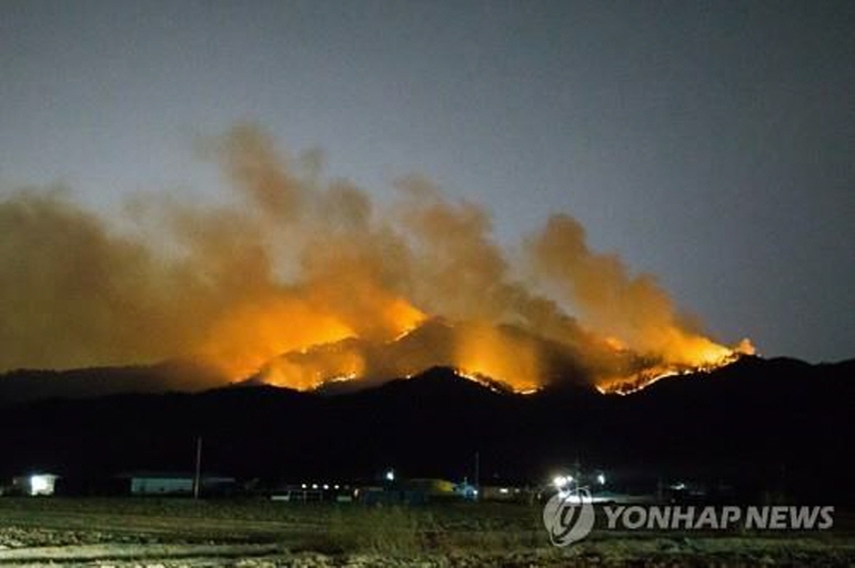 구미 산불 [연합뉴스 제공]