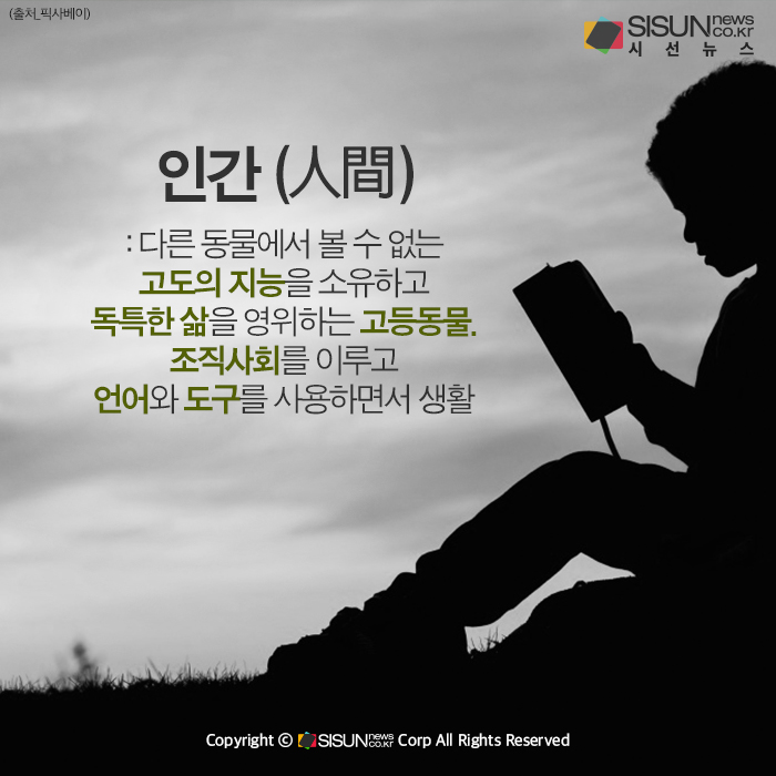 [카드뉴스] 인간의 아이큐(지능)는 몇 살 때 가장 높을까?