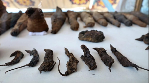 이집트 고대 무덤에서 발견된 쥐 미라들[이집트 고대유물부 제공]