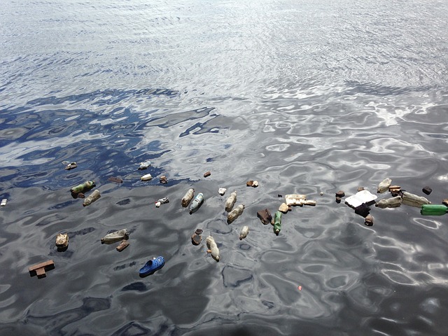 쓰레기로 오염된 바다[픽사베이]