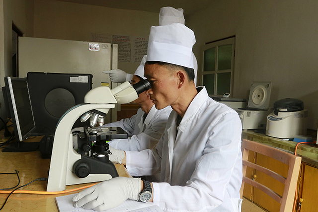 아프리카돼지열병 검사하는 북한 수의학연구소 연구원 (사진-연합뉴스 제공)