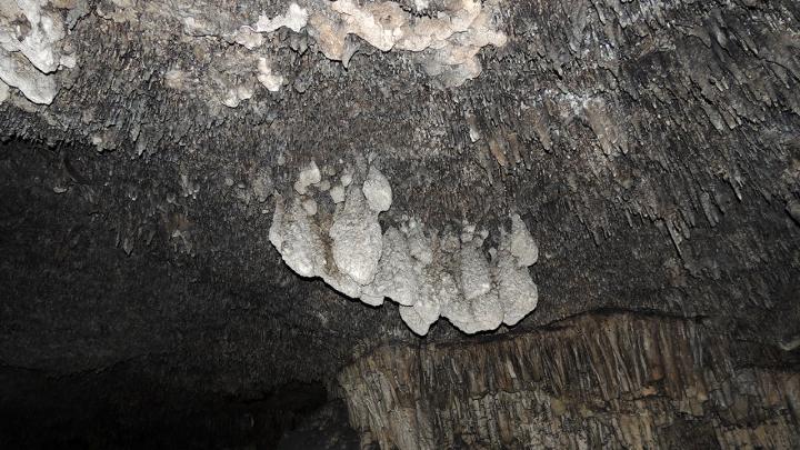 마요르카섬 아르타 해안동굴의 동굴생성물(POS) (뉴멕시코대학 제공)