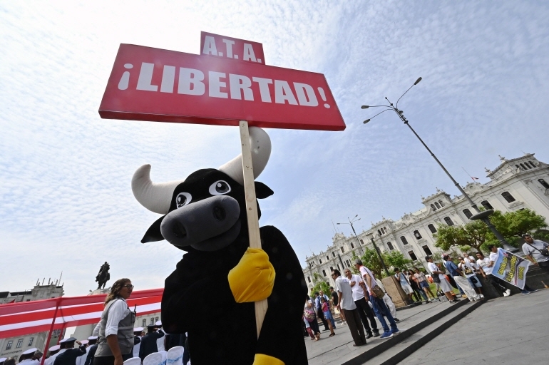 지난 21일 페루 리마에서 열린 투우·투계 지지 시위 (연합뉴스 제공)