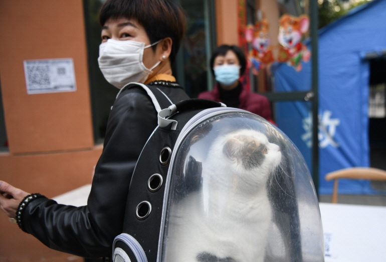 베이징에서 한 시민이 고양이를 데리고 외출하고 있다. [신화=연합뉴스 자료사진]