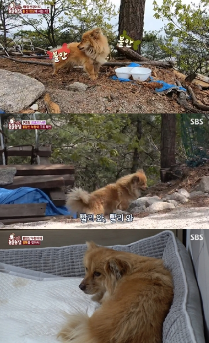 SBS 예능프로그램 ‘동물농장’ 방송화면 캡처
