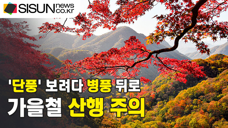 [연합뉴스 자료사진, 내장산국립공원백암사무소 제공, 재판매 및 DB 금지]