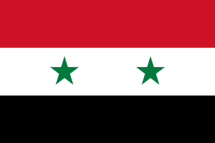 시리아 국기[사진/wikimedia]