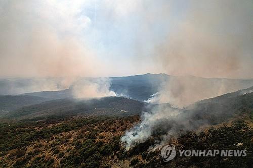 산불 발생한 그리스 에브로스 다디아 국립공원[로이터=연합뉴스 자료사진. 재판매 및 DB 금지]
