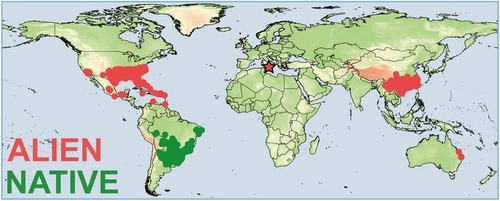 붉은불개미 원산지(녹색 점)와 침입해 정착한 지역들(붉은 점) [사진/Institute of Evolutionary Biology 제공. 재판매 및 DB 금지]