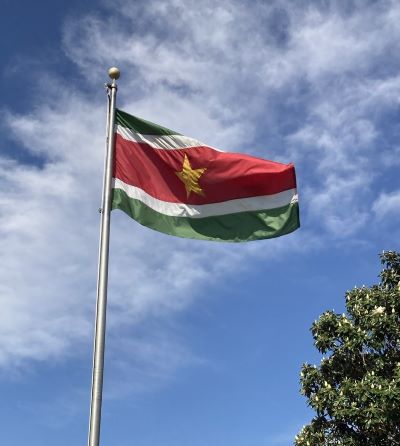 수리남 국기 [자료제공/위키피디아]