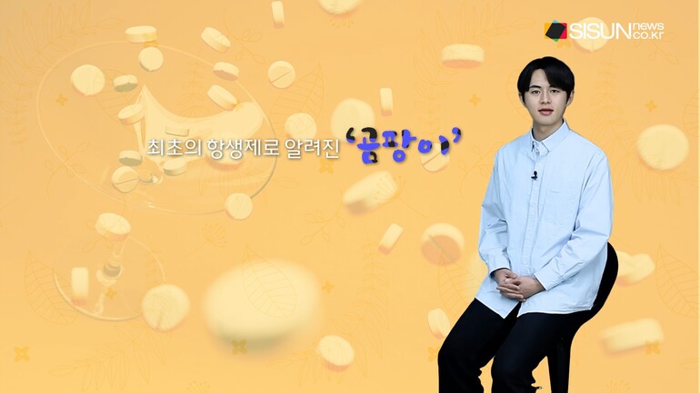 [사진출처: 위키미디어, 픽사베이, 픽셀스]