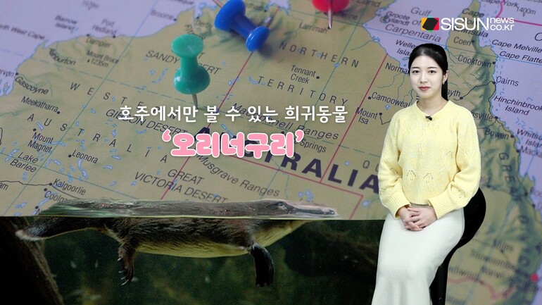 [사진출처 : 위키미디어, 픽사베이, 픽셀스]