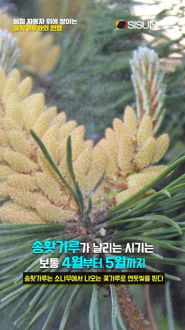 [사진출처 : 언스플레쉬]