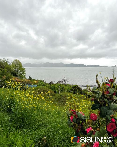 ⓒ지식교양 전문채널-시선뉴스