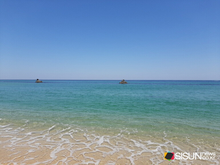 ⓒ지식교양 전문채널-시선뉴스