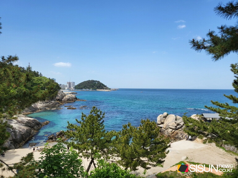 ⓒ지식교양 전문채널-시선뉴스