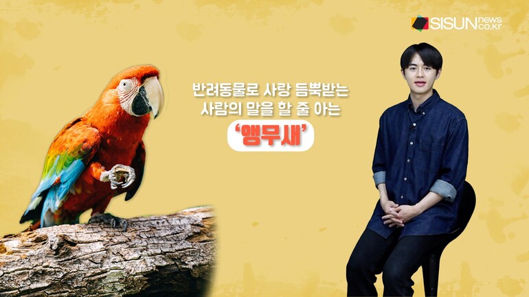 [사진출처 : 픽셀즈, 픽사베이]