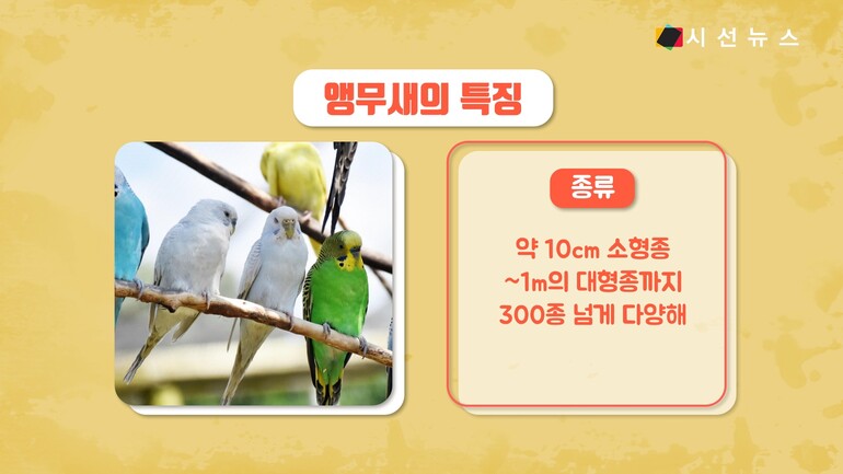 [사진출처 : 픽셀즈, 픽사베이]