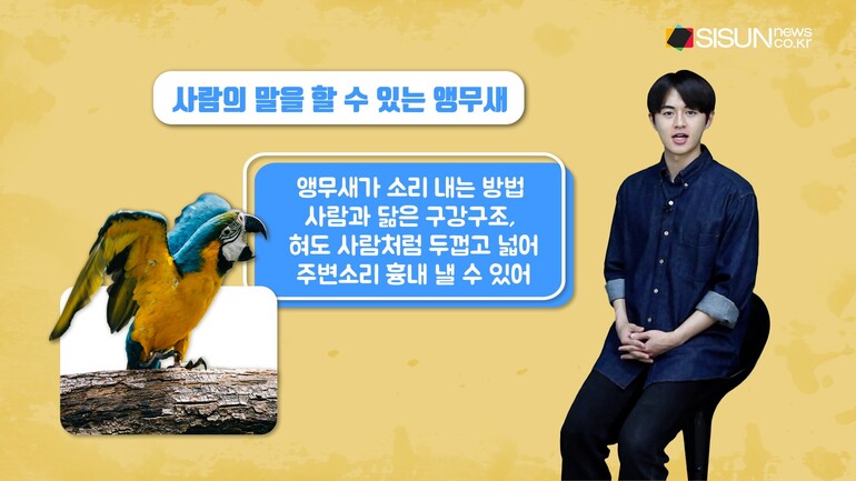 [사진출처 : 픽셀즈, 픽사베이]