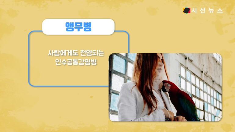 [사진출처 : 픽셀즈, 픽사베이]