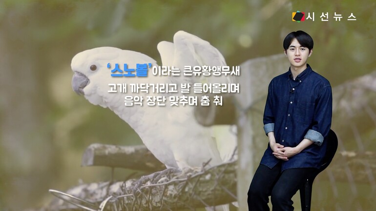 [사진출처 : 픽셀즈, 픽사베이]