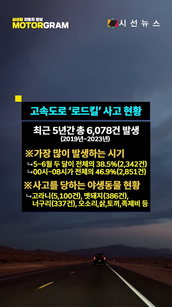 [사진출처 : 픽셀즈]