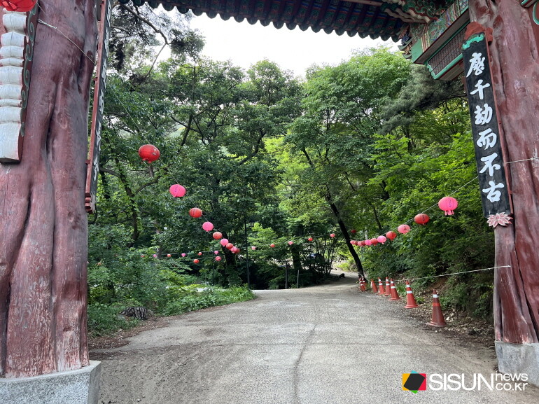 ⓒ지식교양 전문채널-시선뉴스