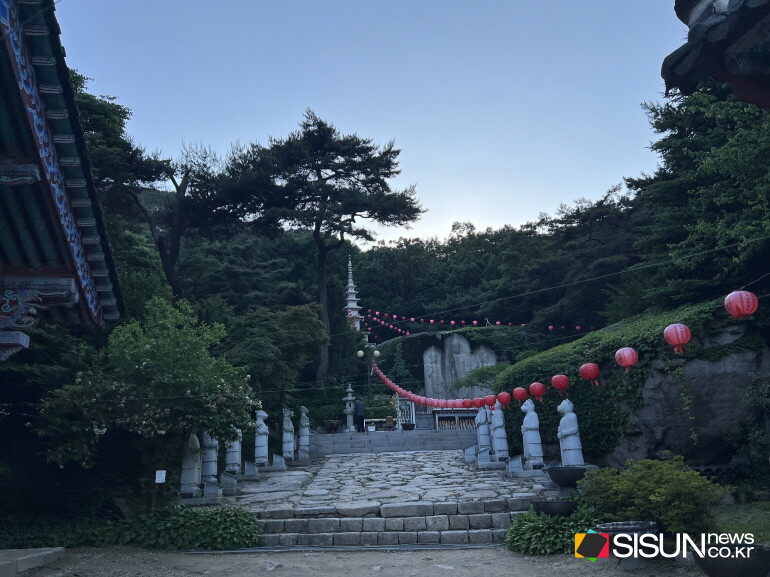 ⓒ지식교양 전문채널-시선뉴스