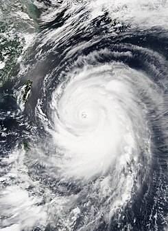 5등급 슈퍼 태풍 (SSHWS) '너구리' [사진/위키백과]