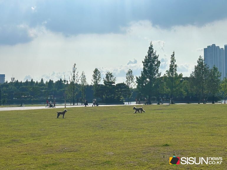 ⓒ지식교양 전문채널-시선뉴스