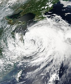 태풍 나크리[사진/위키백과]