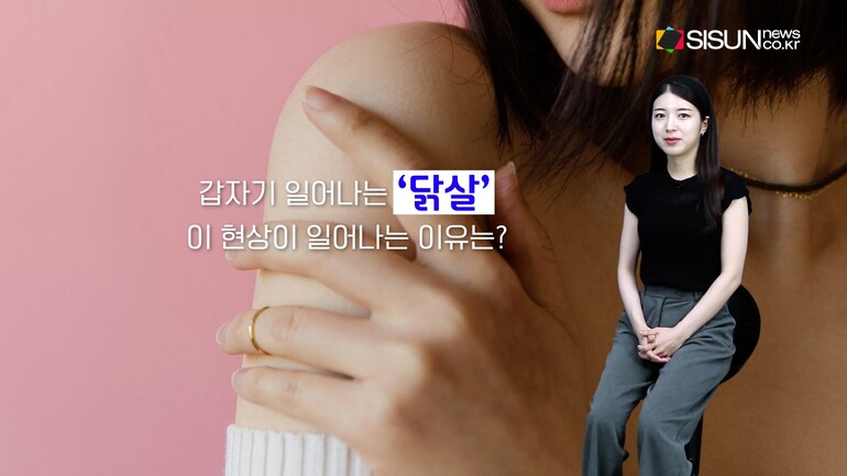 [사진출처 : 영화 '씬', '옥수역귀신', '타로', '파묘' 포스터, 영화 '샤이닝' '컨저링' 스틸컷, 픽셀스]