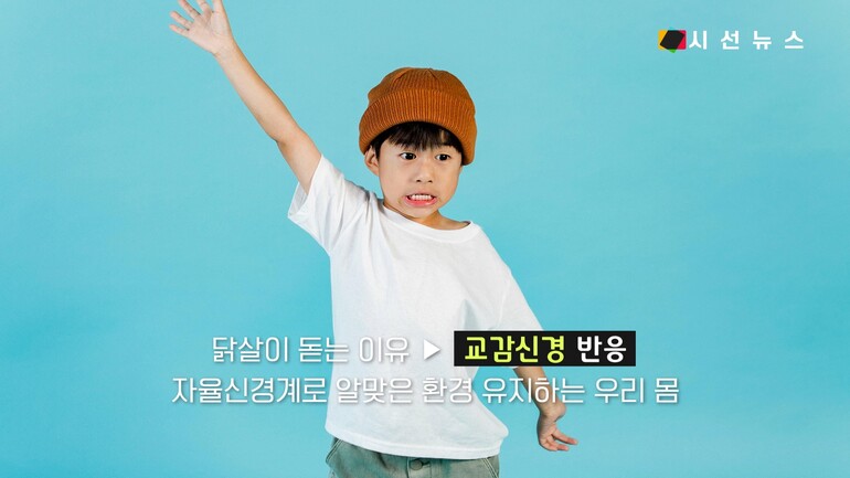 [사진출처 : 영화 '씬', '옥수역귀신', '타로', '파묘' 포스터, 영화 '샤이닝' '컨저링' 스틸컷, 픽셀스]