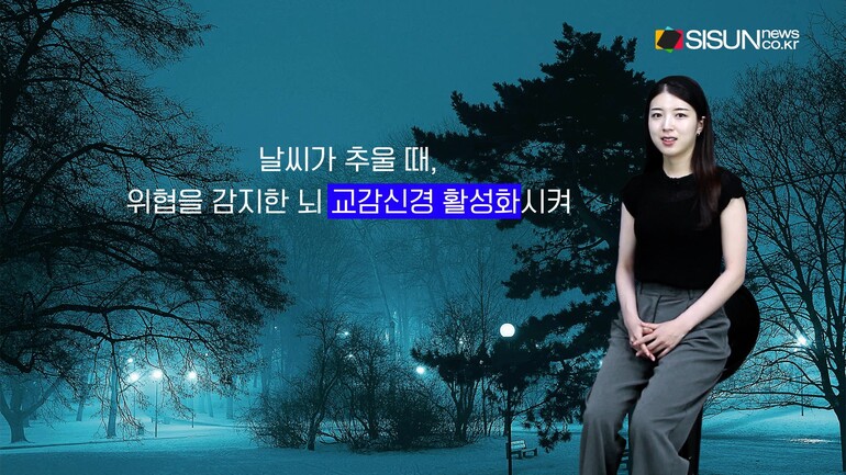 [사진출처 : 영화 '씬', '옥수역귀신', '타로', '파묘' 포스터, 영화 '샤이닝' '컨저링' 스틸컷, 픽셀스]