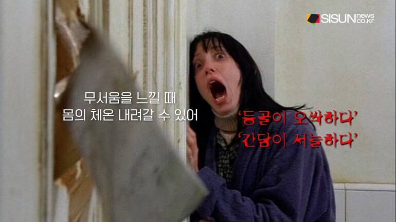 [사진출처 : 영화 '씬', '옥수역귀신', '타로', '파묘' 포스터, 영화 '샤이닝' '컨저링' 스틸컷, 픽셀스]