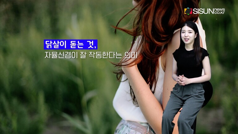 [사진출처 : 영화 '씬', '옥수역귀신', '타로', '파묘' 포스터, 영화 '샤이닝' '컨저링' 스틸컷, 픽셀스]