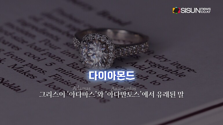 [사진출처 : 픽셀스, 픽사베이, 언스플래쉬]