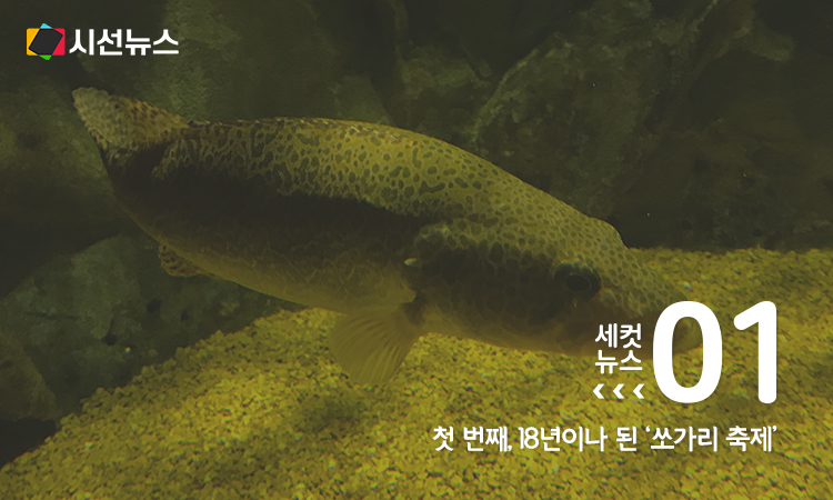 [사진/위키피디아]