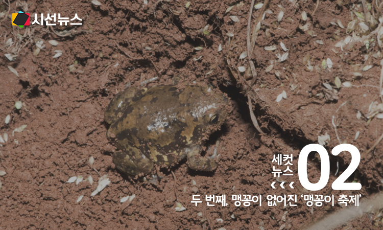 [사진/위키피디아]