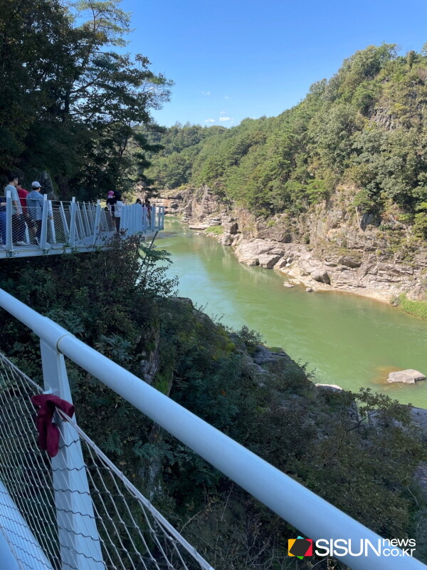 ⓒ지식교양 전문채널-시선뉴스