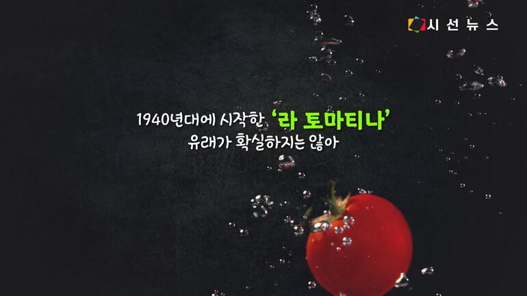 [사진출처 : '화천 산천어 축제', '보령머드 축제' 페이스북, 위키미디어, 플리커, 픽셀스, 픽사베이]