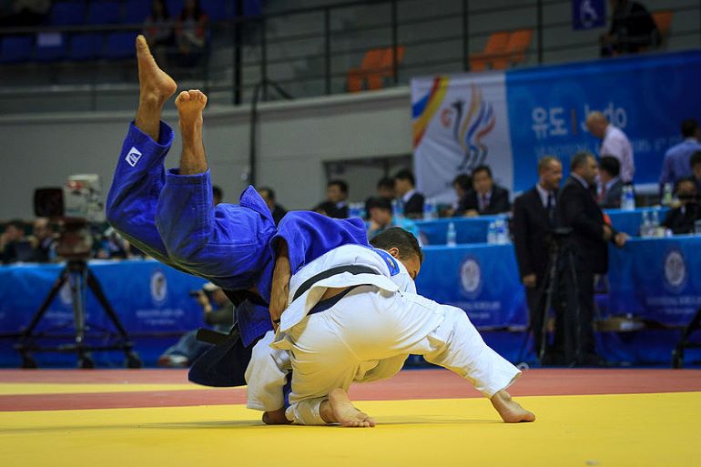 유도 [사진/위키미디어]