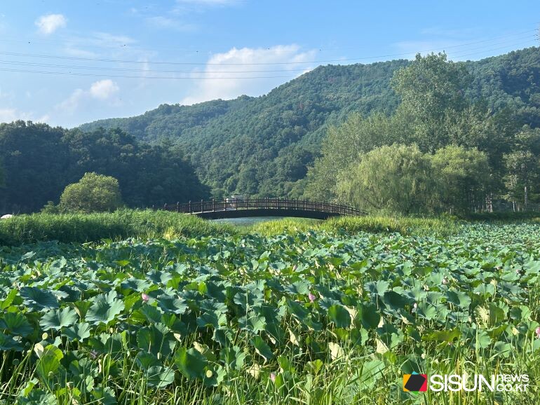 ⓒ지식교양 전문채널-시선뉴스