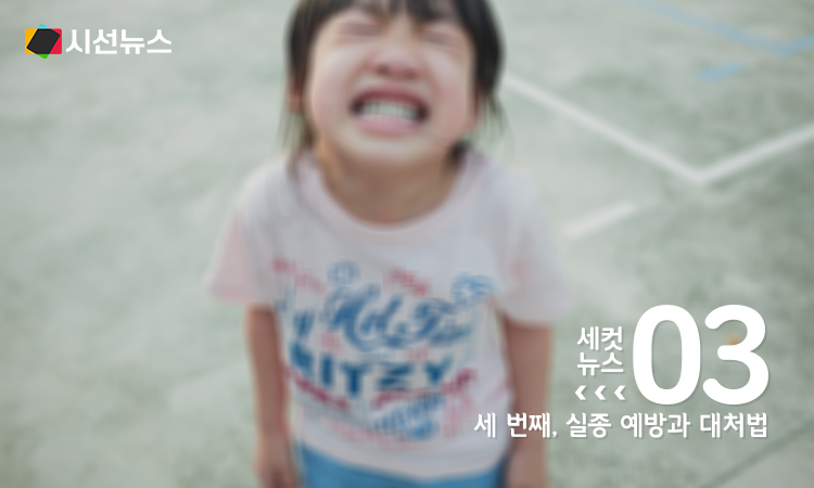 사진/flickr