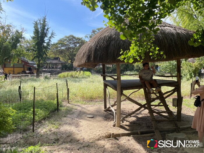 ⓒ지식교양 전문채널-시선뉴스