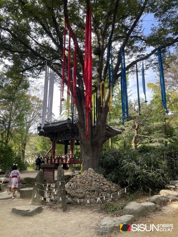 ⓒ지식교양 전문채널-시선뉴스