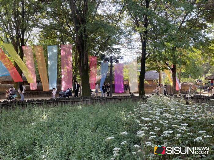 ⓒ지식교양 전문채널-시선뉴스