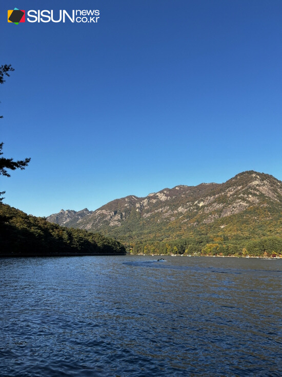 ⓒ지식교양 전문채널-시선뉴스