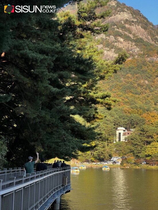 ⓒ지식교양 전문채널-시선뉴스